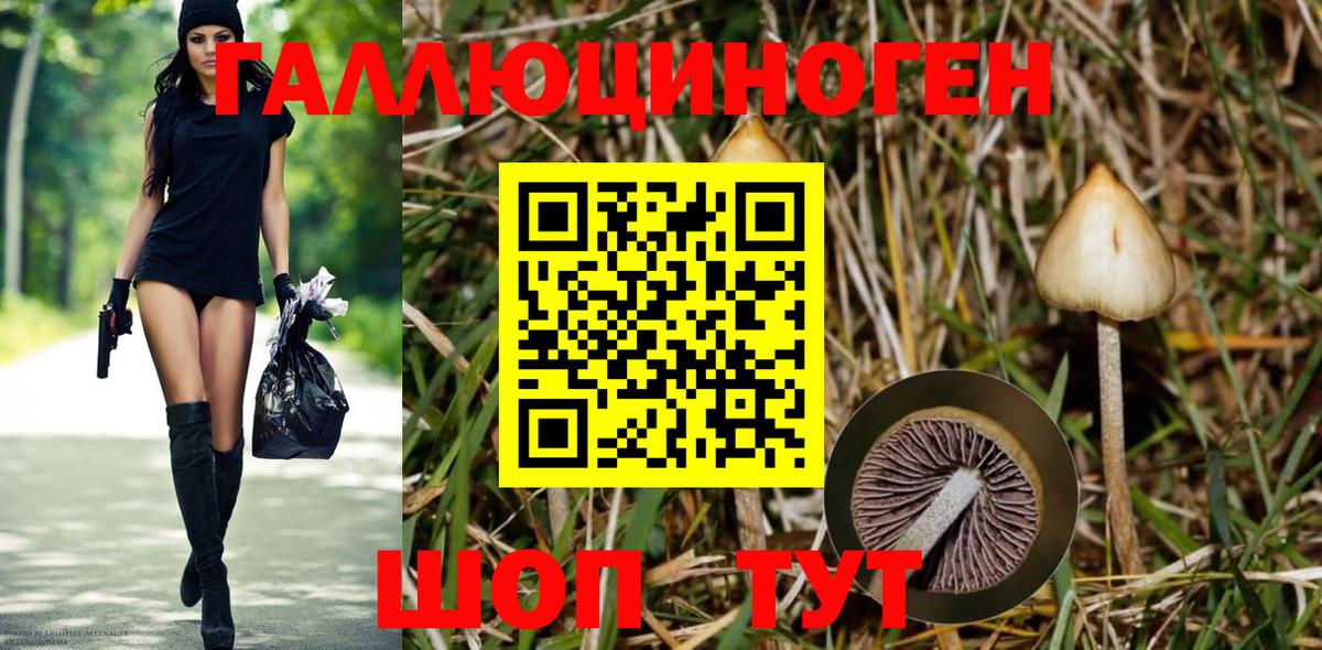 Галлюциногенные грибы Cubensis  Вход с VPN  даркнет сайт  Михайловск 