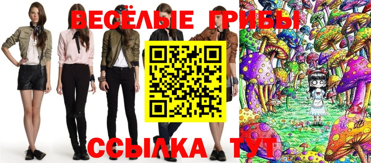 Галлюциногенные грибы Cubensis Михайловск